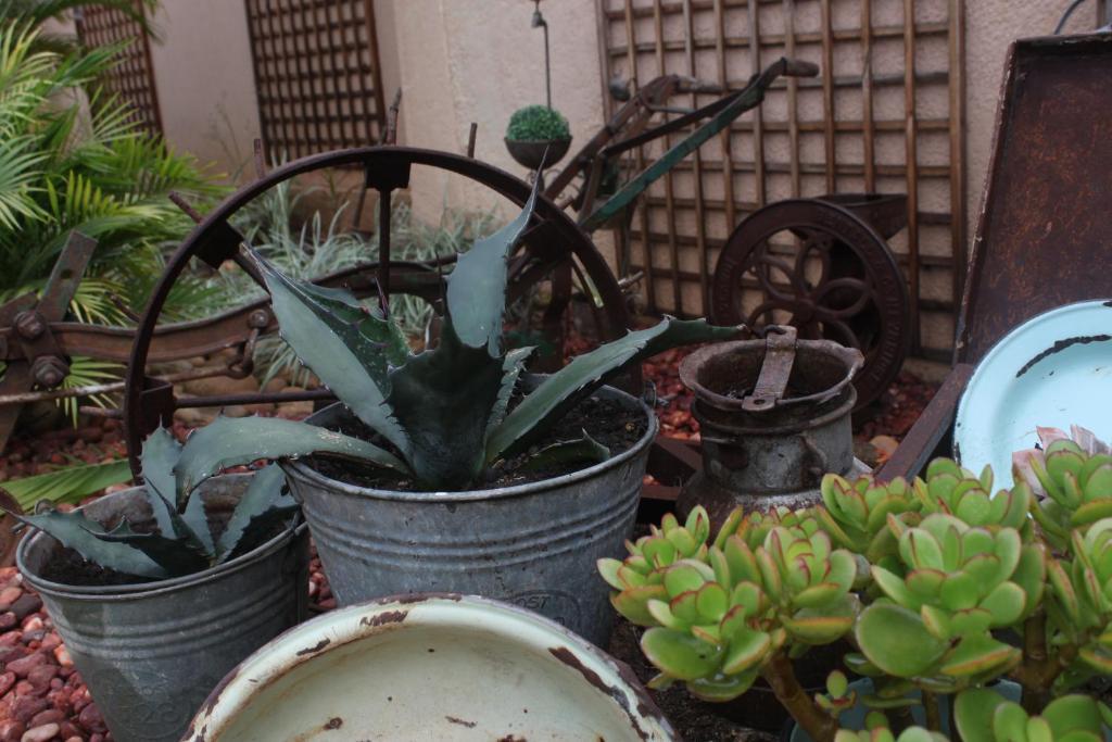 Aber Jetz Guesthouse Pongola Luaran gambar